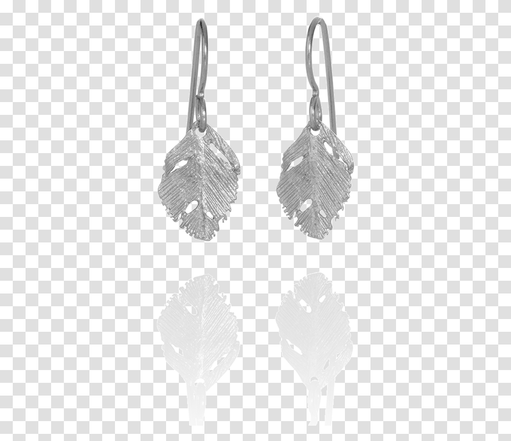 Raven Feather, Fossil, Jewelry, Accessories, Accessory Transparent Png