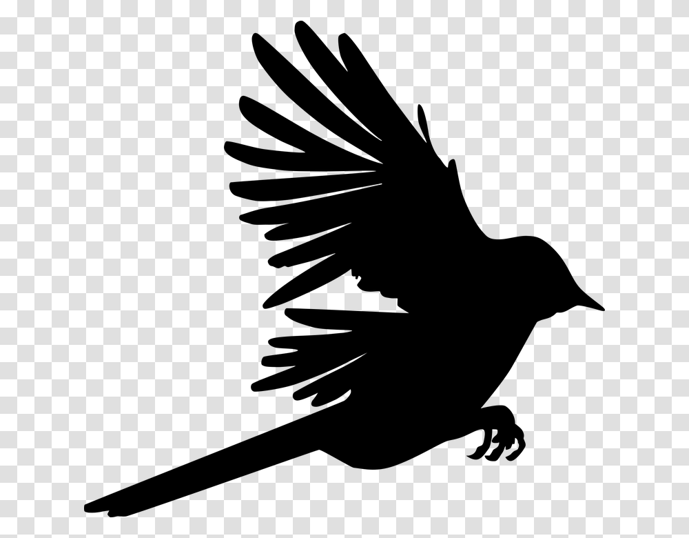 Raven, Gray, World Of Warcraft Transparent Png