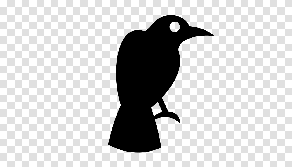Raven Icon, Gray, World Of Warcraft Transparent Png