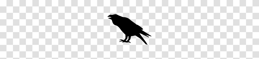 Raven Icon, Gray, World Of Warcraft Transparent Png