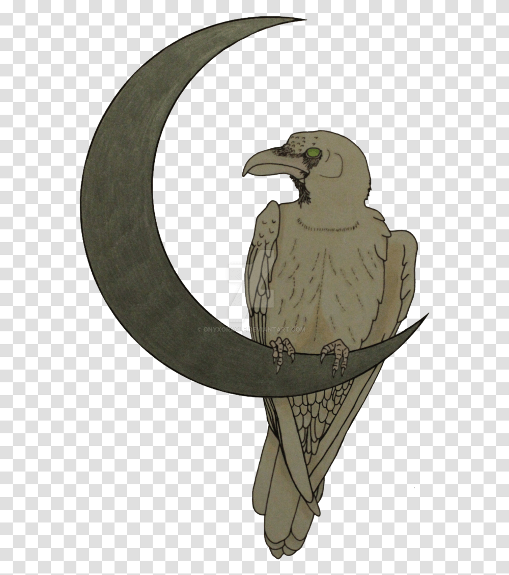 Raven S Moon White, Vulture, Bird, Animal, Condor Transparent Png