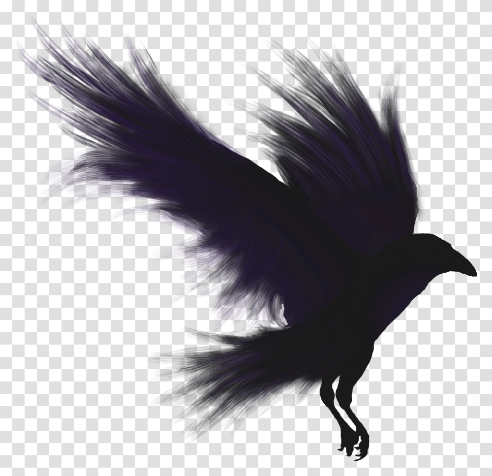 Raven Shadow Of A Crow, Bird, Animal, Purple, Light Transparent Png