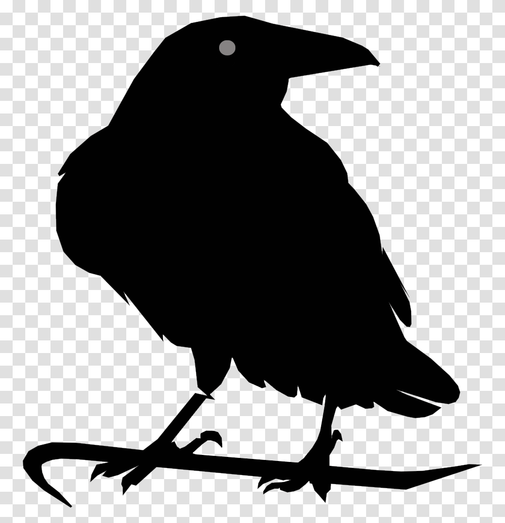Raven, Silhouette, Bird, Animal, Blackbird Transparent Png