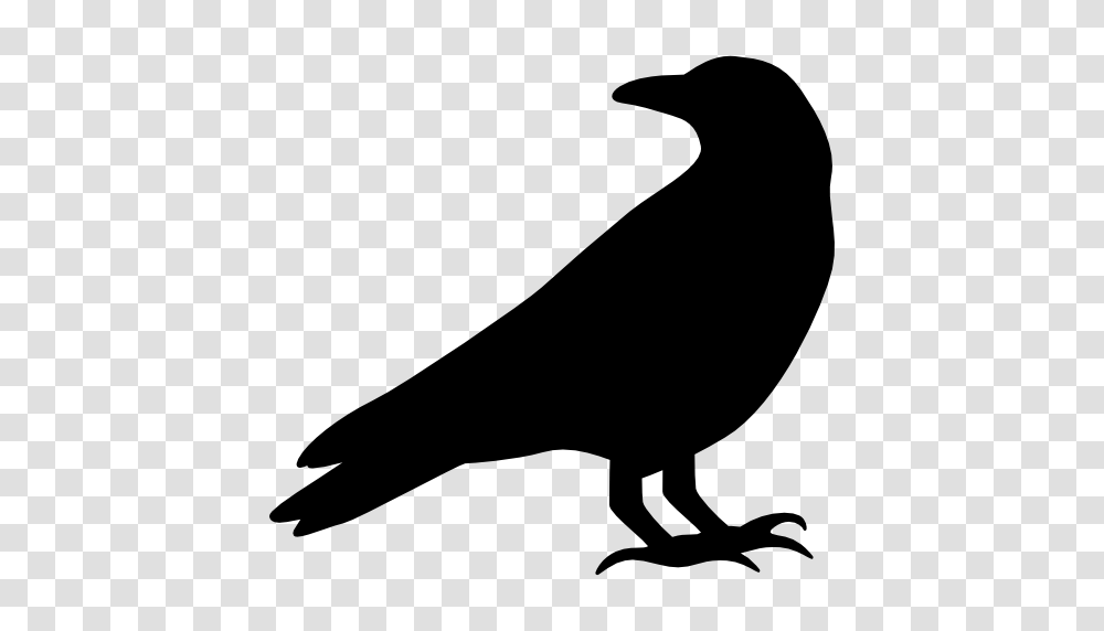Raven, Silhouette, Bird, Animal, Hammer Transparent Png