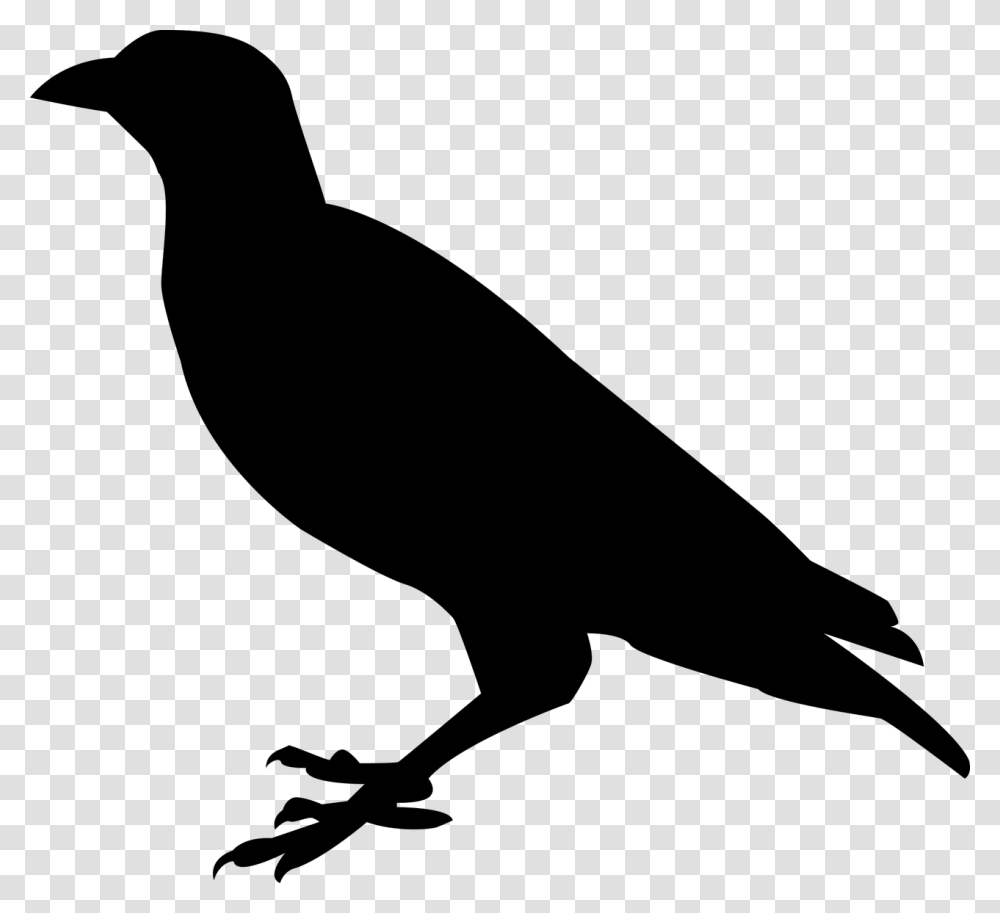 Raven Silhouette, Gray, World Of Warcraft Transparent Png