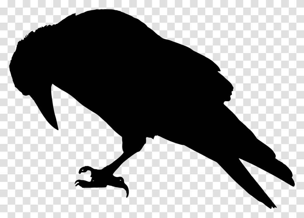 Raven Silhouette Icons, Gray, World Of Warcraft Transparent Png