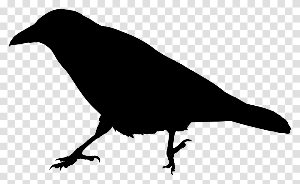 Raven Silhouette Icons, Gray, World Of Warcraft Transparent Png