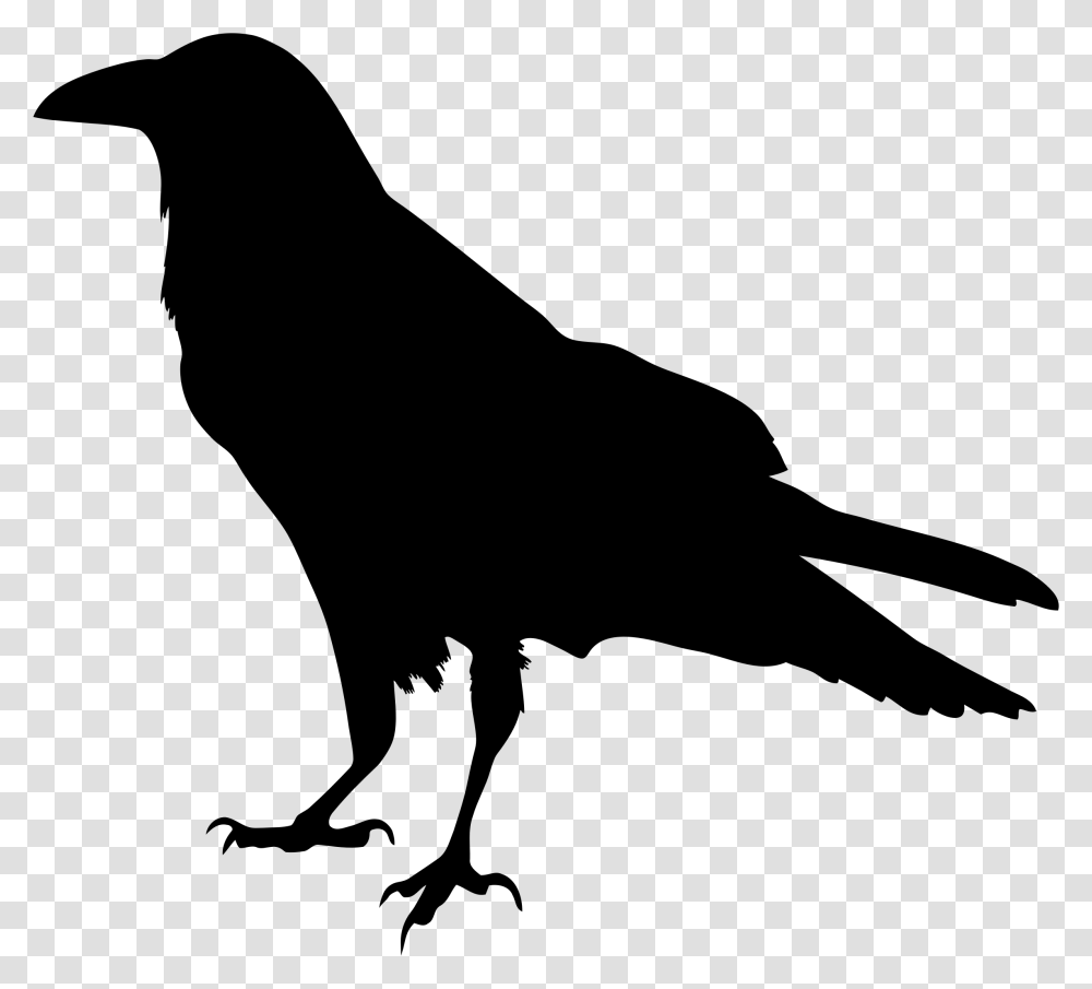 Raven Silhouette Vector Art Image, Gray, World Of Warcraft Transparent Png
