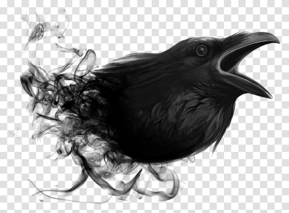 Raven Smoke Picsart Editing, Bird, Animal, Crow, Beak Transparent Png
