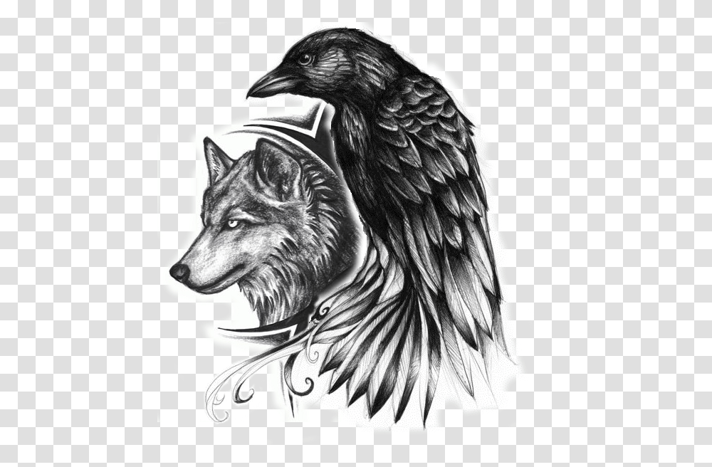 Raven Tattoo, Eagle, Bird, Animal, Drawing Transparent Png