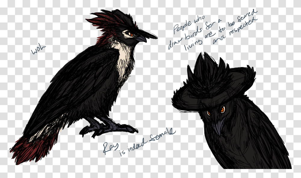 Raven, Vulture, Bird, Animal, Condor Transparent Png