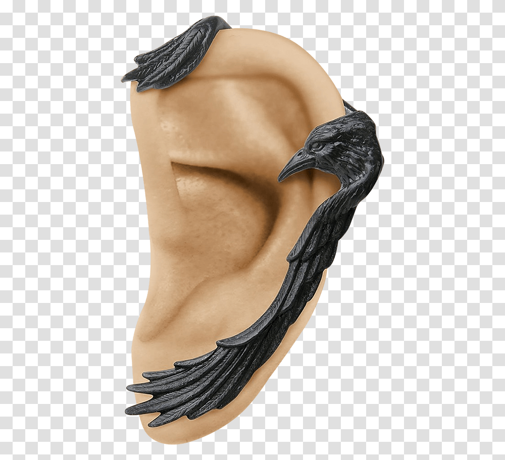 Raven Wing Ear Wrap Raven Earing, Person, Human, Neck, Shoulder Transparent Png