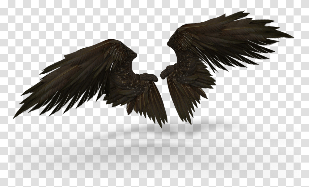 Raven Wings Alas De Malefica, Bird, Animal, Vulture, Eagle Transparent Png