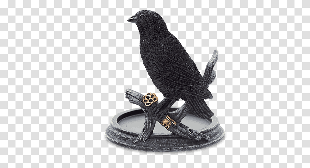 Raven Wrap Warmer Scentsy Raven Warmer Wrap, Bird, Animal, Blackbird, Agelaius Transparent Png