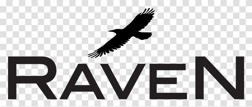 Ravenlogo Hawk, Animal, Bird, Flying Transparent Png