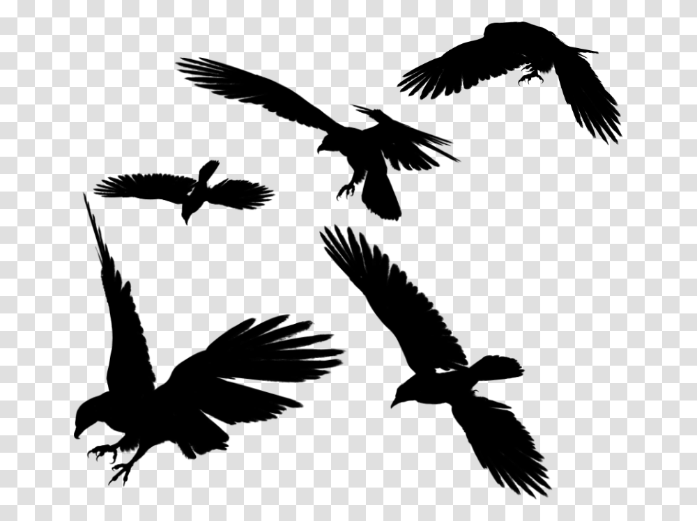 Ravens Flying Background, Gray, World Of Warcraft Transparent Png