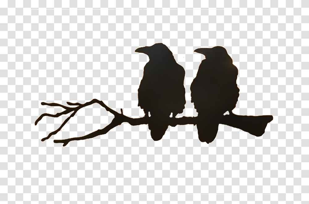 Ravens On A Branch, Silhouette, Bird, Animal, Crow Transparent Png