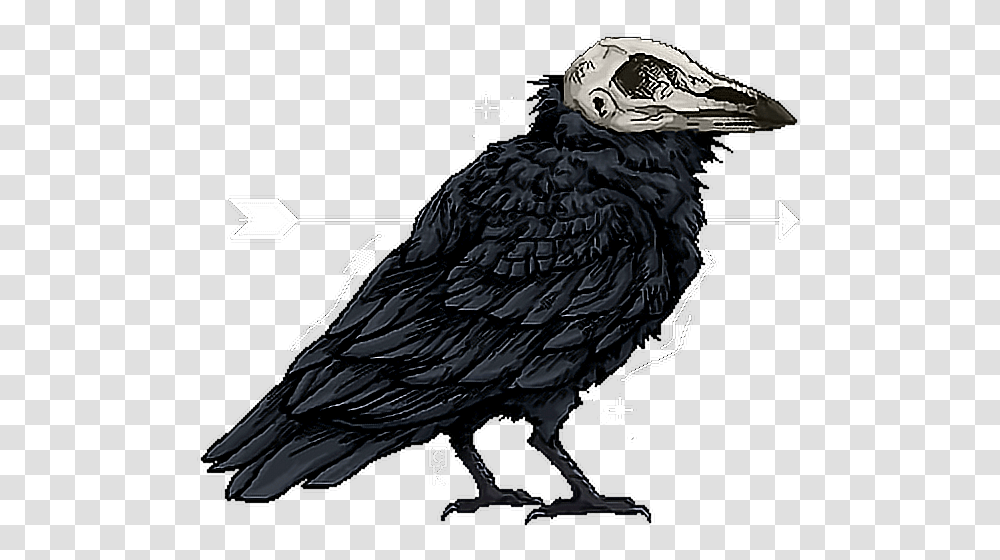 Ravenskullarrow Raven With Skull Head, Vulture, Bird, Animal, Beak Transparent Png