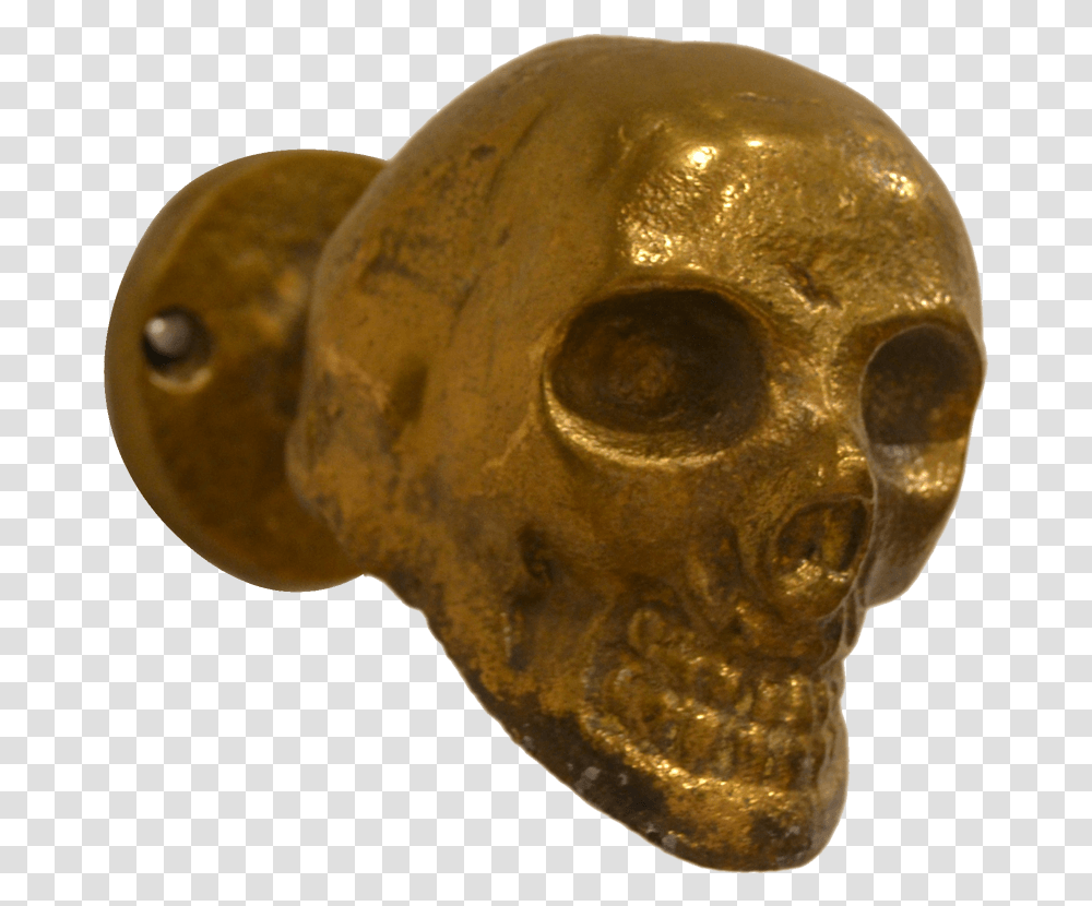 Raw Rustic Gold Skull Decorative Hook, Bronze, Head, Fungus Transparent Png