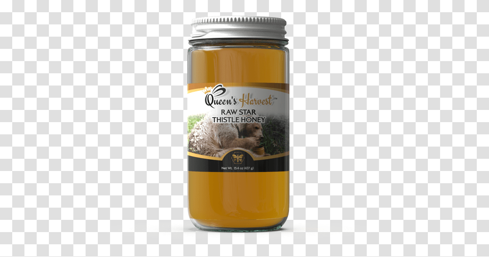 Raw Star Thistle Honey Kombucha, Food, Plant, Beer, Alcohol Transparent Png