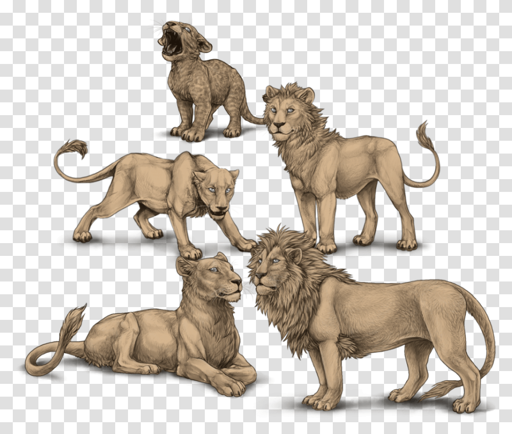 Rawr Two Heads Lioden, Lion, Wildlife, Mammal, Animal Transparent Png