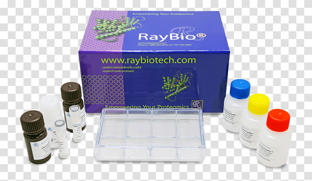 Ray Bio Human Cytokine Antibody Array, Furniture, Cabinet, Medicine Chest, Medication Transparent Png