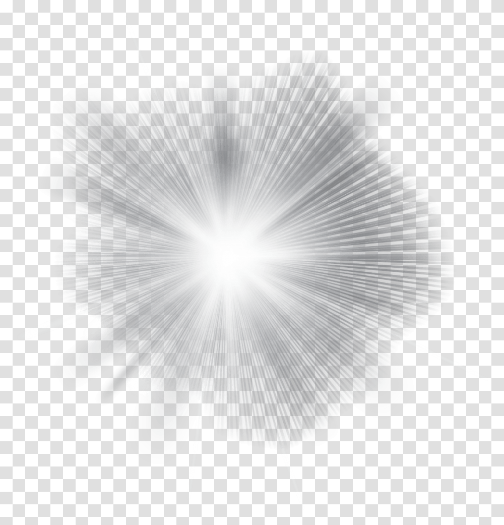 Ray Clipart Heavenly Flash Of Light, Fungus, Petal, Flower, Plant Transparent Png