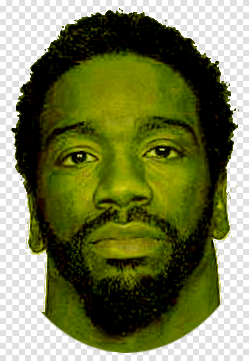 Ray Lewis Ed Reed Self Portrait, Face, Person, Human, Head Transparent Png