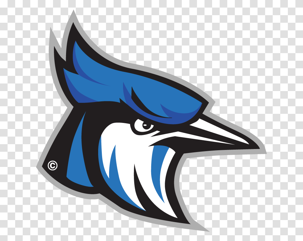 Raytown Blue Jays Football, Bird, Animal, Bluebird Transparent Png
