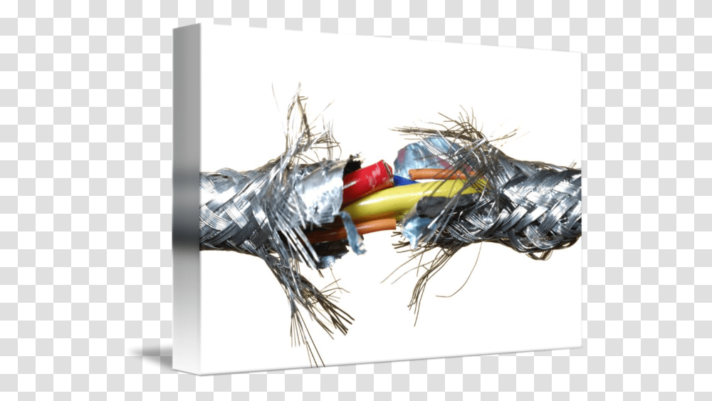 Razor Wire Broken Cable, Wiring, Horse, Mammal, Animal Transparent Png