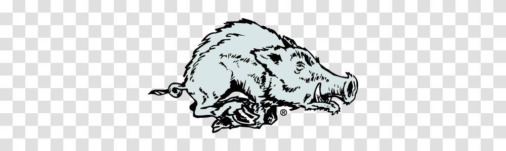 Razorback Hog Cliparts, Mammal, Animal, Wildlife, Rodent Transparent Png