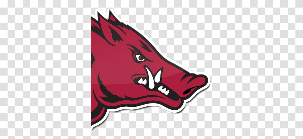 Razorback Sportpsych On Twitter Join Us For Some Yoga Tonight, Animal, Fish, Sea Life, Ketchup Transparent Png