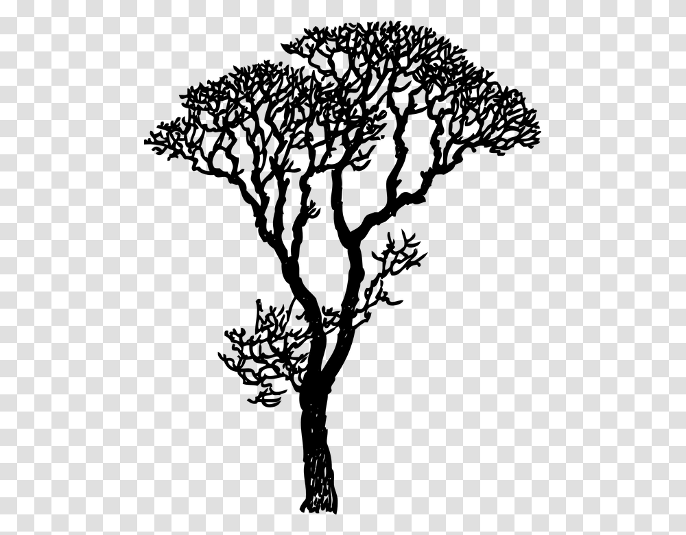 Rbol Negro Silueta De Altura Ramas Naturaleza Drawing Trees, Gray, World Of Warcraft Transparent Png