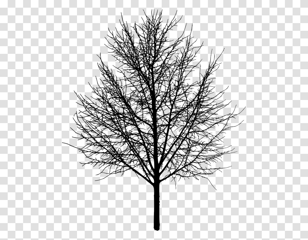 Rbol Rboles Naturaleza Paisaje Hacer Recorte Tree With No Leaves, Gray, World Of Warcraft Transparent Png