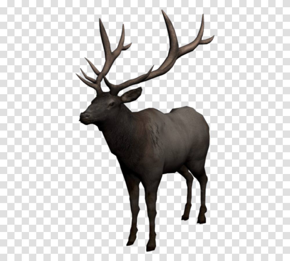 Rdr 2 Wapiti, Elk, Deer, Wildlife, Mammal Transparent Png