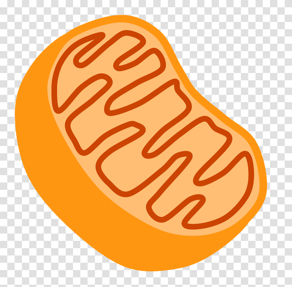 Re Energizing Our Mitochondria, Ketchup, Food, Plant, Hand Transparent Png