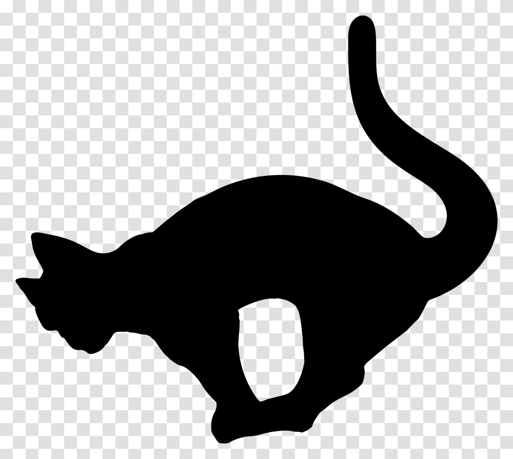 Reaching Cat Portable Network Graphics, Gray, World Of Warcraft Transparent Png