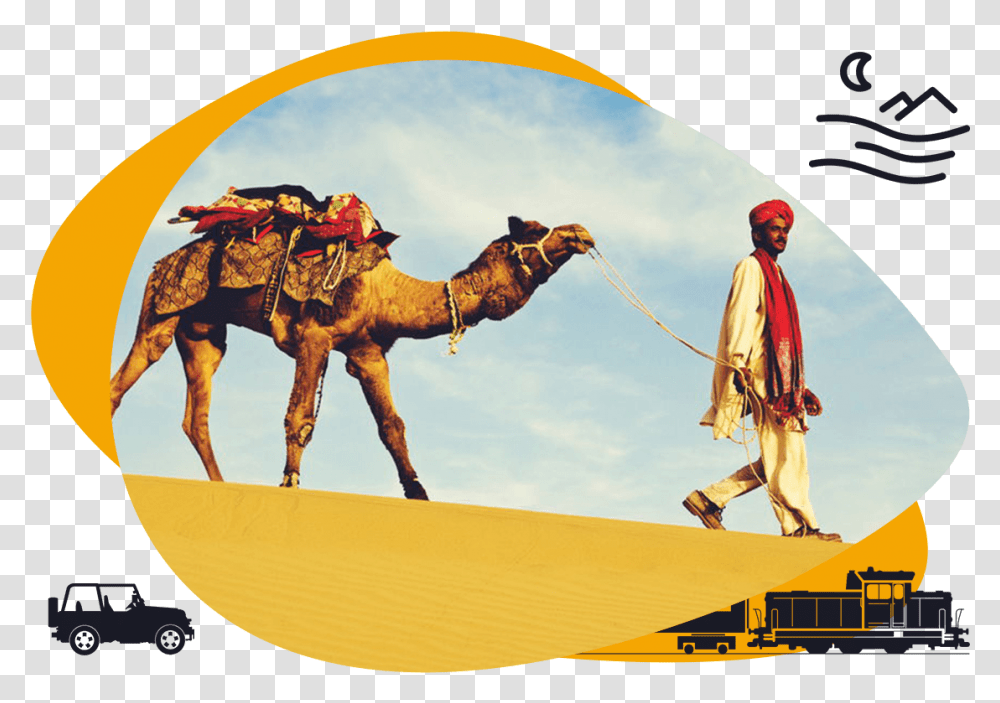 Reaching Shiva Camel Safari Jaisalmer Tourism Rajasthan, Person, Human, Mammal, Animal Transparent Png