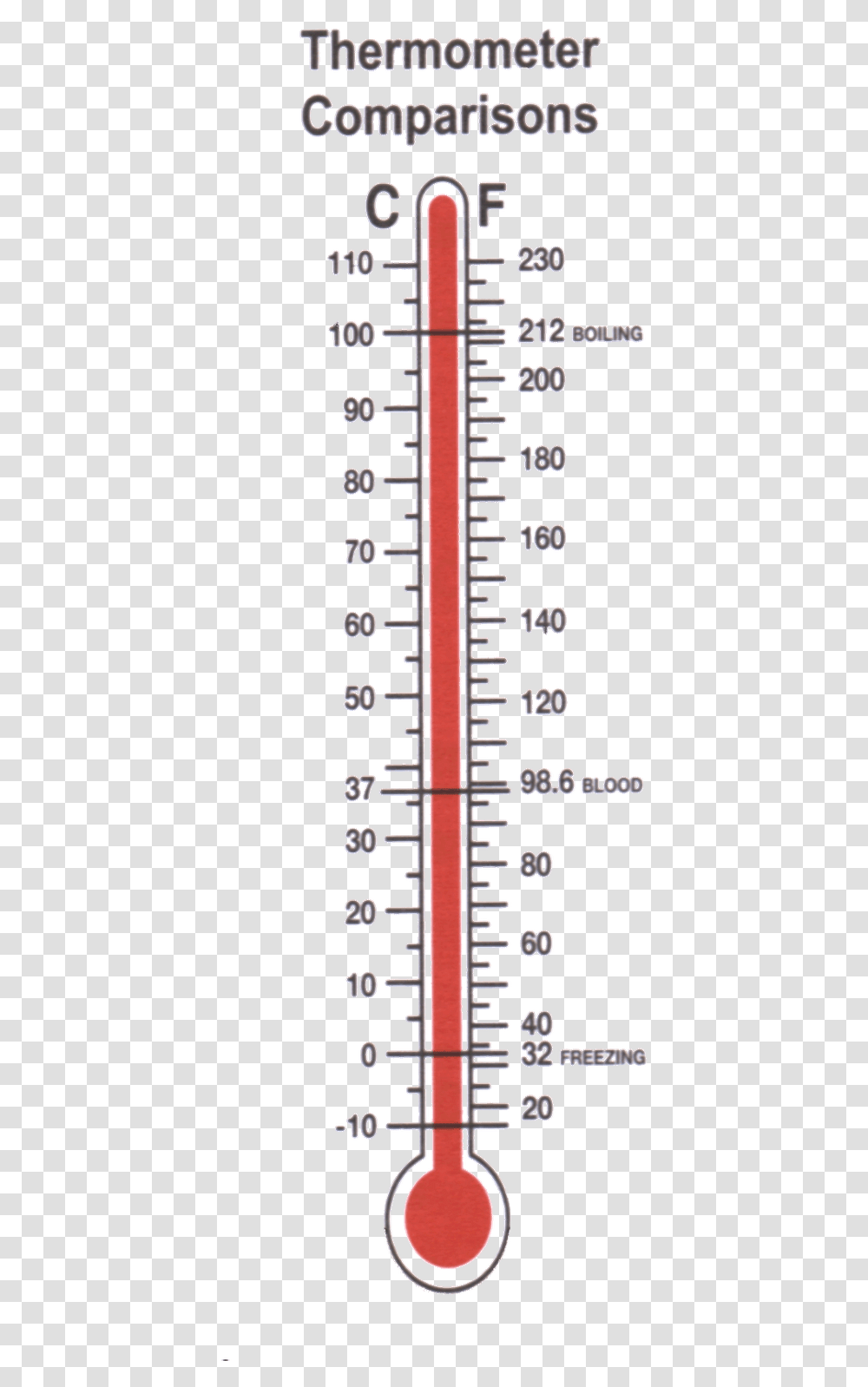 Read Temperature On Clinical Thermometer, Page, Diagram, Plot Transparent Png