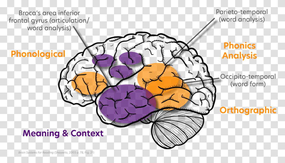 Reading Brain Food, Water, Outdoors, Fishing, Angler Transparent Png