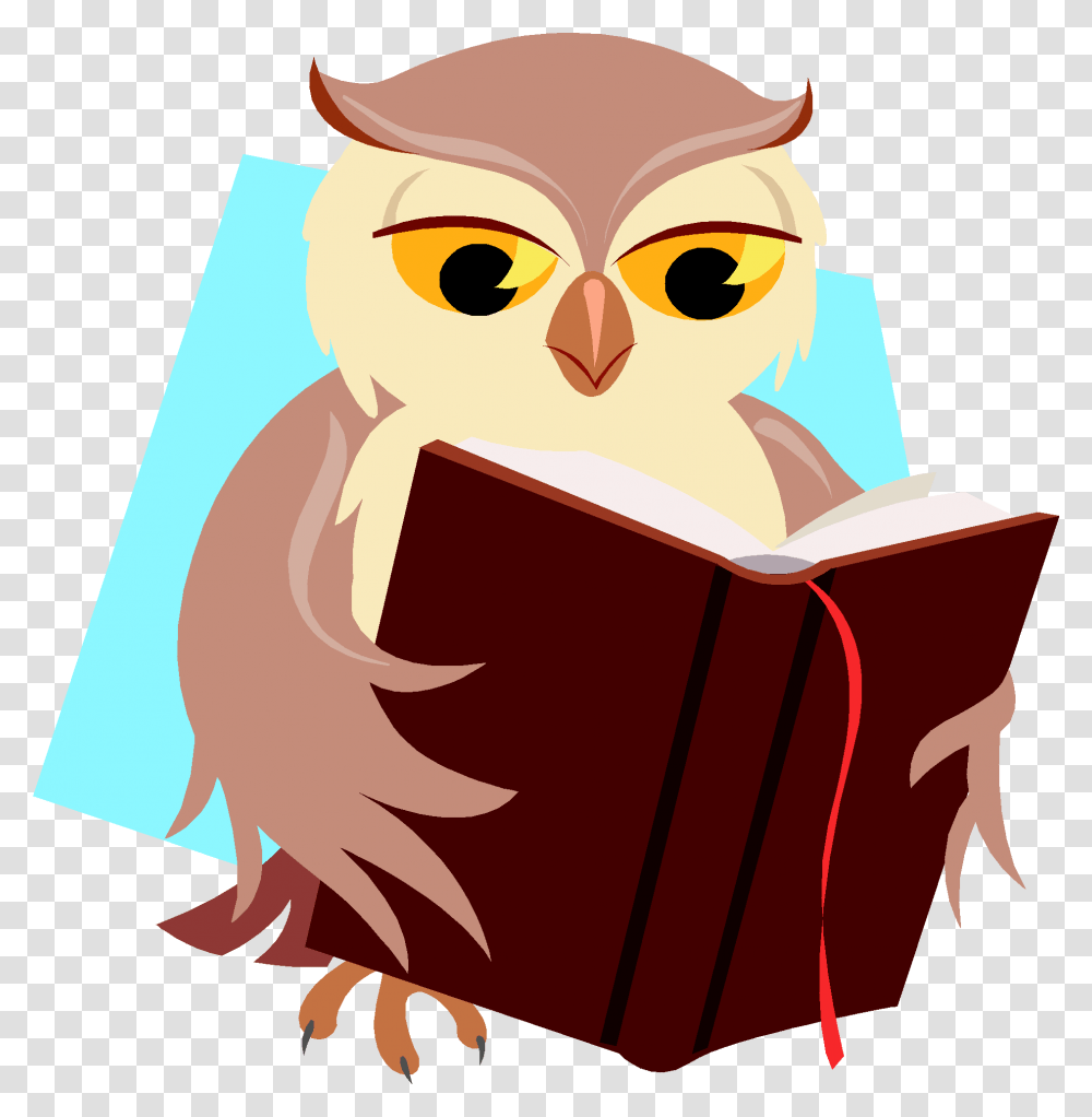 Reading Owl Clipart Schliferaward Reading Owl, Photography, Book Transparent Png