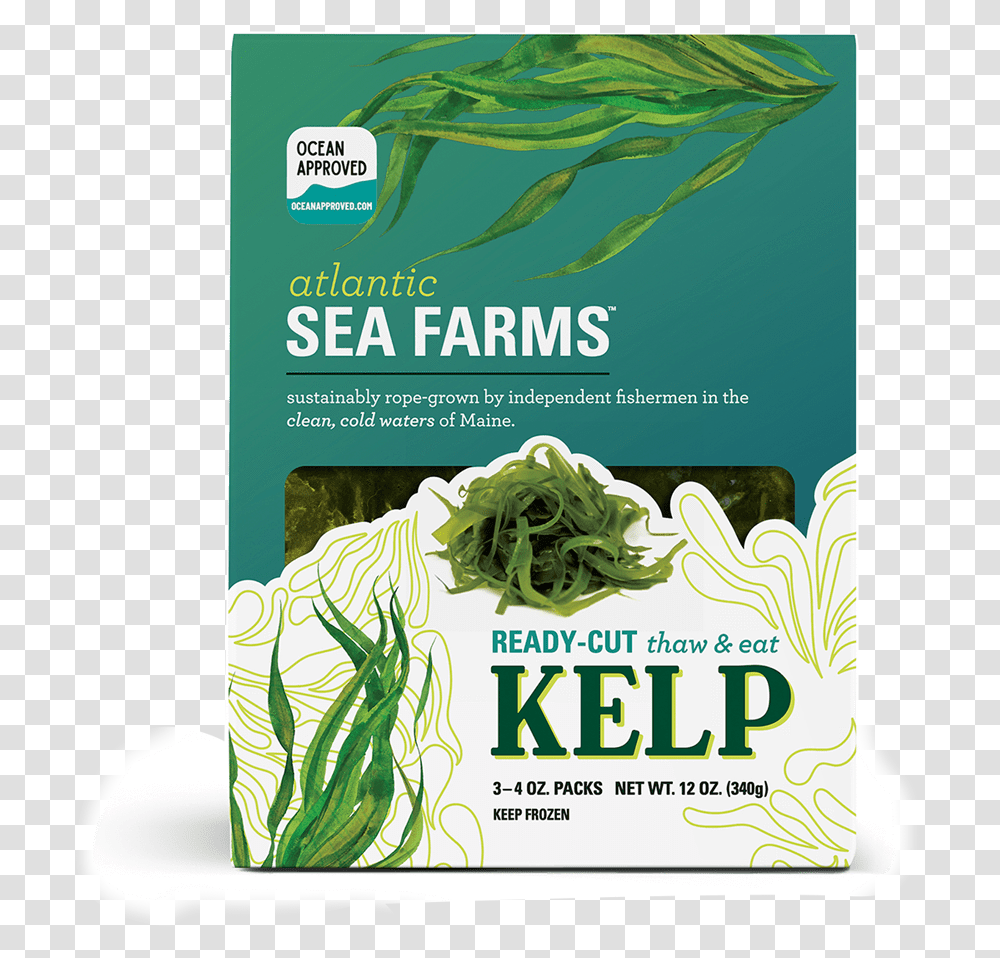 Ready Cut Kelp Kelp Smoothie, Plant, Vegetable, Food, Paper Transparent Png