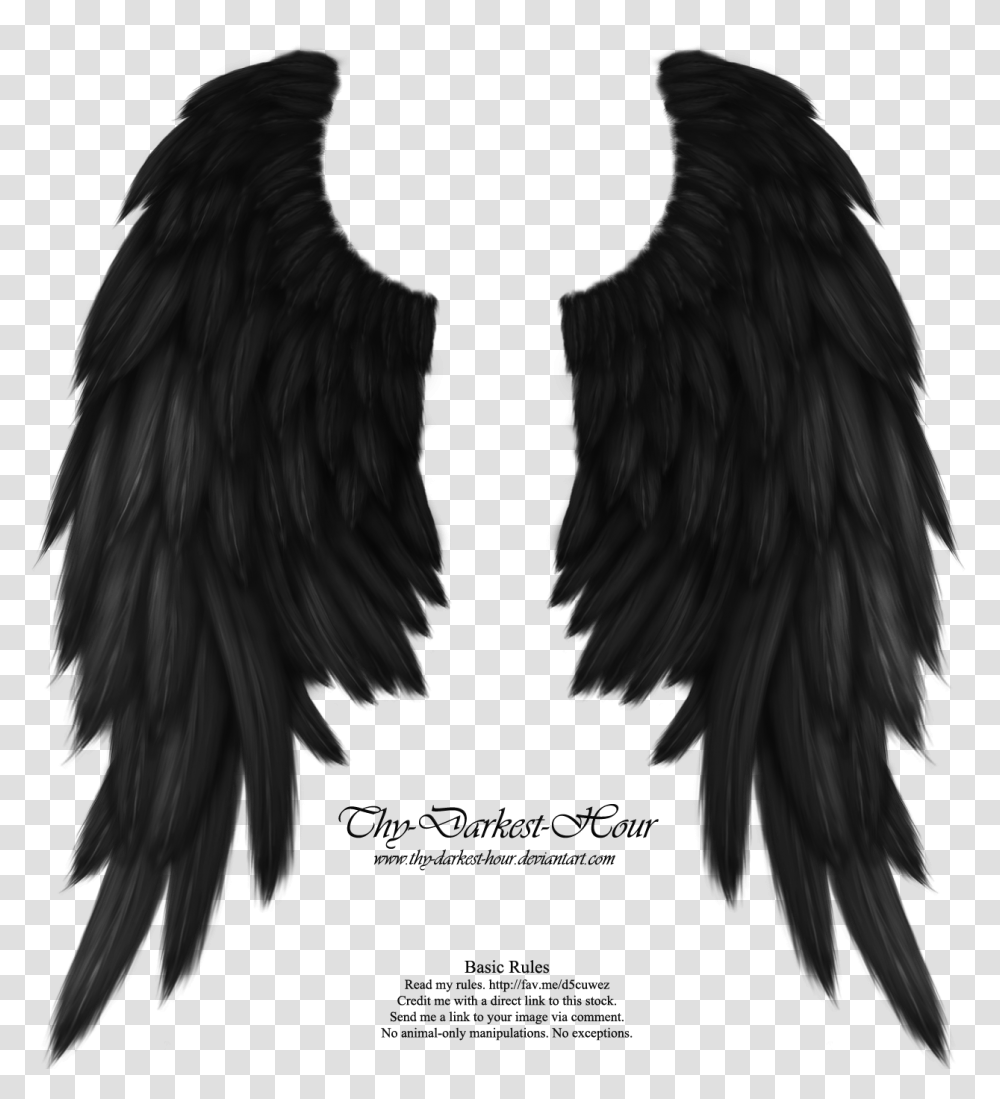 Real Angel Win Angel Wings Black Angel Wings, Person, Vulture, Bird, Animal Transparent Png