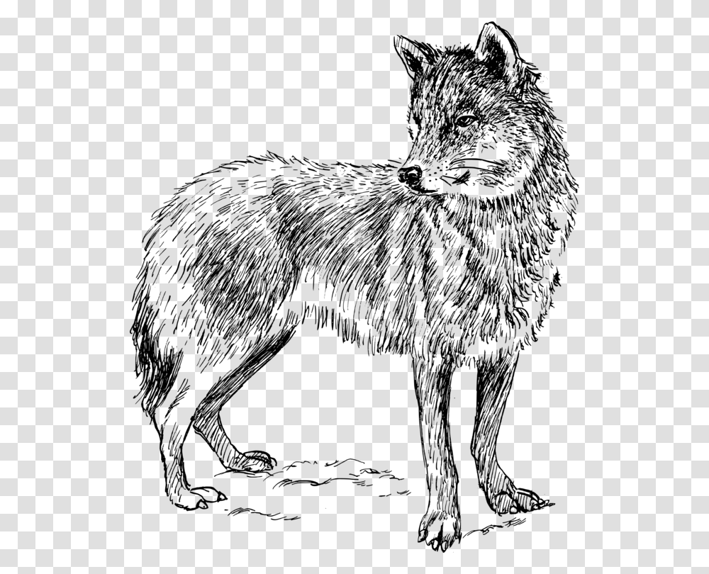 Real Animal Colouring Pages, Gray, World Of Warcraft Transparent Png