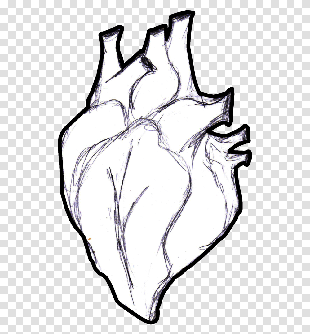 Real At Getdrawings Com Heart Anatomical Sketch, Hand, Person, Human, Fist Transparent Png
