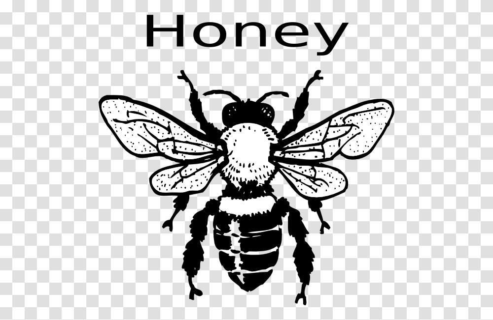 Real Bee Clipart Black And White, Honey Bee, Insect, Invertebrate, Animal Transparent Png