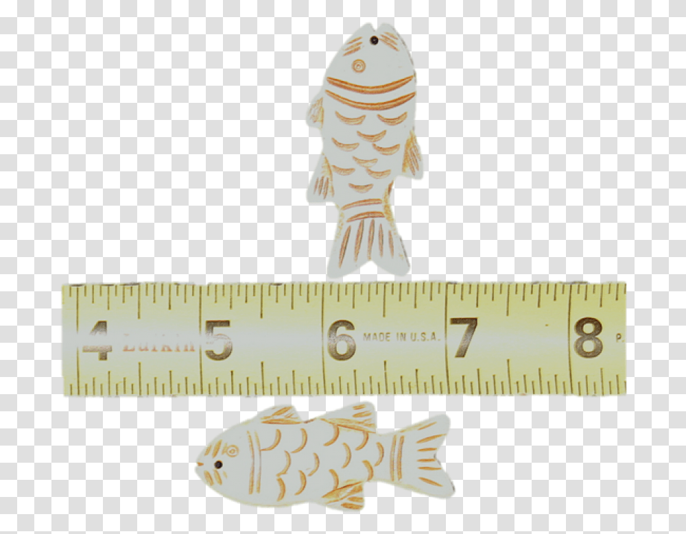 Real Bone Carved Fish Ruler, Plot, Animal, Diagram, Measurements Transparent Png