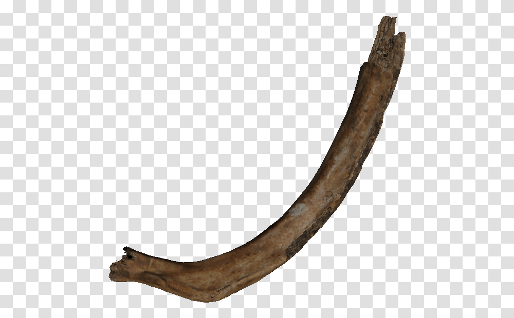 Real Bone, Ivory, Axe, Tool Transparent Png