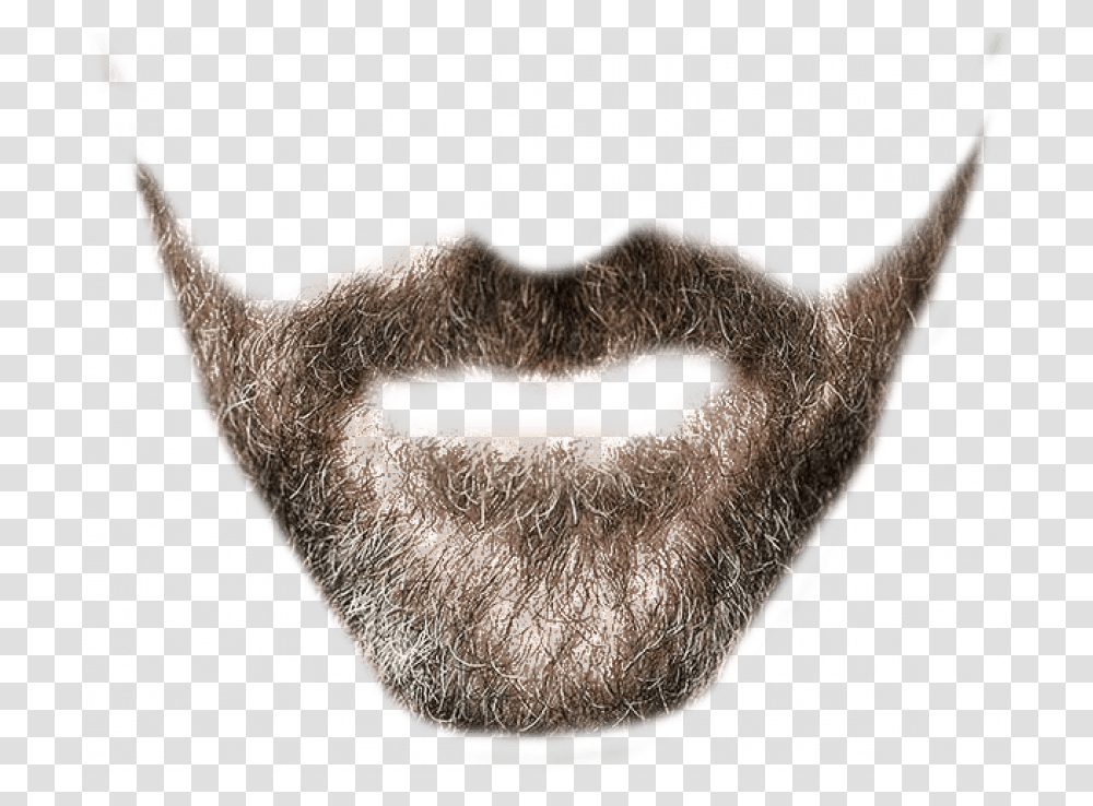 Real Brown Beard Clipart Beard Background, Face, Person, Human, Pig Transparent Png