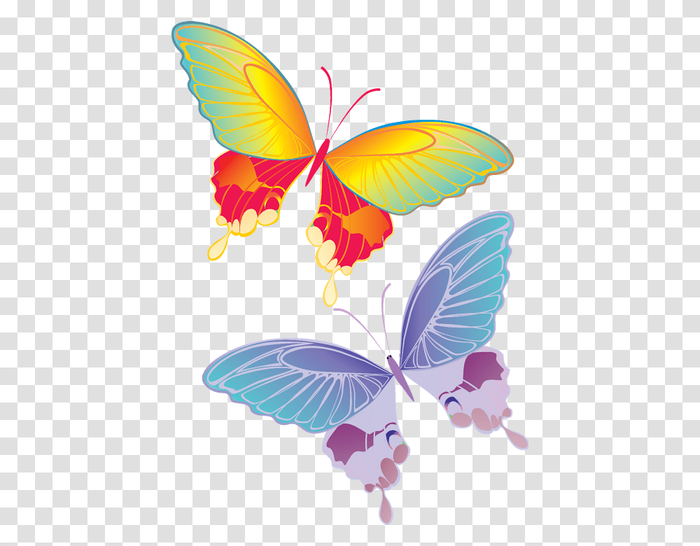 Real Colorful Butterfly Flying, Pattern, Floral Design Transparent Png